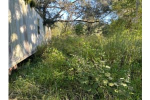 39249 LIZABETH CIRCLE, ZEPHYRHILLS, FL 33542 - MLS#MFRTB8454491