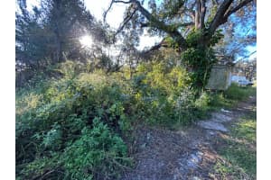 39249 LIZABETH CIRCLE, ZEPHYRHILLS, FL 33542 - MLS#MFRTB8454491