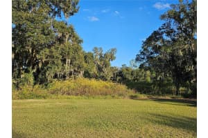 18927 BOYETTE ROAD, LITHIA, FL 33547 - MLS#MFRTB8454496