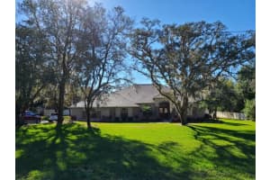 13624 COOPER ROAD, SPRING HILL, FL 34609 - MLS#MFRTB8454557