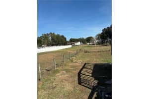 3152 STEEPLECHASE ROAD, WESLEY CHAPEL, FL 33543 - MLS#MFRTB8454565