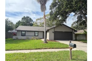 1431 NOELL BOULEVARD, PALM HARBOR, FL 34683 - MLS#MFRTB8454582