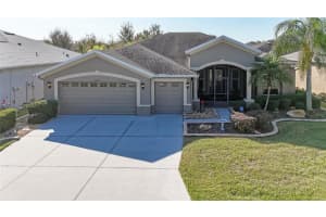 29290 GRASS BUNKER DRIVE, SAN ANTONIO, FL 33576 - MLS#MFRTB8454599