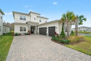 32423 Rosewood Meadow Ln, WESLEY CHAPEL