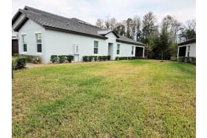 16890 FORGE SURF STREET, LAND O LAKES, FL 34638 - MLS#MFRTB8454644