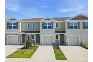 2480 Riversong Lodge Ln, WESLEY CHAPEL
