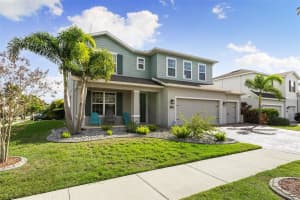 11702 LAKE LUCAYA DRIVE, RIVERVIEW, FL 33579 - MLS#MFRTB8454689