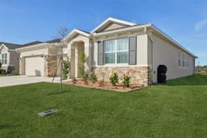 10509 BRIDGEGATE HEIGHTS LOOP, SAN ANTONIO, FL 33576 - MLS#MFRTB8454693