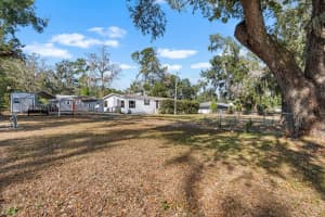 11622 GROVEWOOD AVENUE, THONOTOSASSA, FL 33592 - MLS#MFRTB8454694