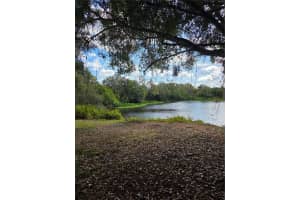 721 REDONDO DRIVE, BRANDON, FL 33511 - MLS#MFRTB8454763