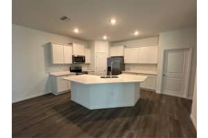 32746 RUSTIC RISE ROAD, SAN ANTONIO, FL 33576 - MLS#MFRTB8454779