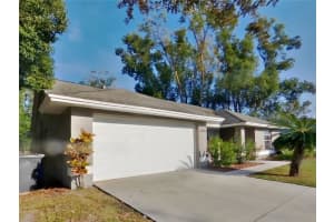 MLS# MFRTB8454780, Lutz, Florida 33558