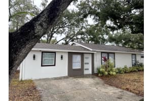 3123 NAPOLEON AVENUE, TAMPA, FL 33611 - MLS#MFRTB8454831