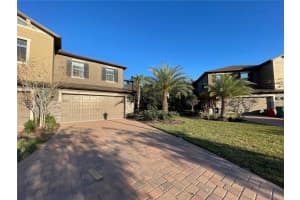28536 TRANQUIL LAKE CIRCLE, WESLEY CHAPEL, FL 33543 - MLS#MFRTB8454839