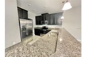 28536 TRANQUIL LAKE CIRCLE, WESLEY CHAPEL, FL 33543 - MLS#MFRTB8454839