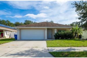 2025 PEACEFUL PALM STREET, RUSKIN, FL 33570 - MLS#MFRTB8454846