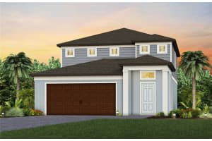 33418 BARNEBROOK DRIVE, WESLEY CHAPEL, FL 33545 - MLS#MFRTB8454873