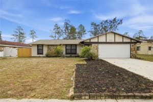 10312 MAVERICK STREET, NEW PORT RICHEY, FL 34654 - MLS#MFRTB8454892
