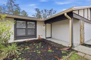 10312 MAVERICK STREET, NEW PORT RICHEY, FL 34654 - MLS#MFRTB8454892