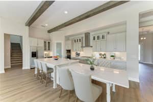 35244 BIG HAWK DRIVE, ZEPHYRHILLS, FL 33541 - MLS#MFRTB8454929