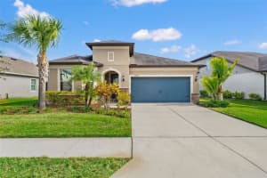 8012 OLIVE BROOK DRIVE, WESLEY CHAPEL, FL 33545 - MLS#MFRTB8454940