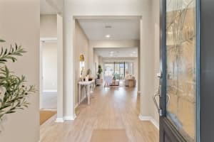 8012 OLIVE BROOK DRIVE, WESLEY CHAPEL, FL 33545 - MLS#MFRTB8454940