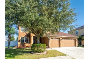 3987 ASHWORTH PLACE, LAKELAND, FL 33810 - MLS#MFRTB8454965