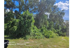 5716 TANGELO LANE, INVERNESS, FL 34453 - MLS#MFRTB8455009