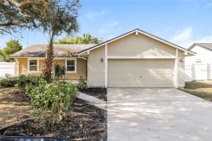 239 MYRTLE COURT, PALM HARBOR, FL 34683 - MLS#MFRTB8455059