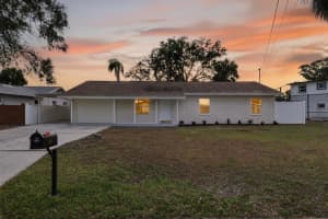 4928 Shetland Ave, TAMPA