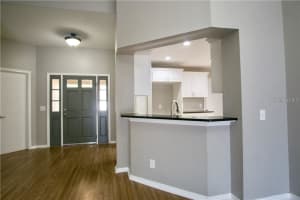 1113 BLOOM HILL AVENUE, VALRICO, FL 33596 - MLS#MFRTB8455074