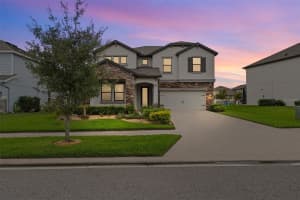 31046 PARROT REEF COURT, WESLEY CHAPEL, FL 33545 - MLS#MFRTB8455085