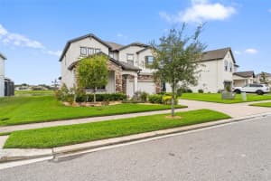 31046 PARROT REEF COURT, WESLEY CHAPEL, FL 33545 - MLS#MFRTB8455085