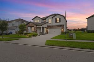 31046 PARROT REEF COURT, WESLEY CHAPEL, FL 33545 - MLS#MFRTB8455085