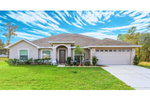 11428 PELICAN AVENUE, WEEKI WACHEE, FL 34614 - MLS#MFRTB8455164