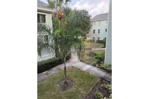 330 PROMENADE DRIVE, DUNEDIN, FL 34698 - MLS#MFRTB8455193