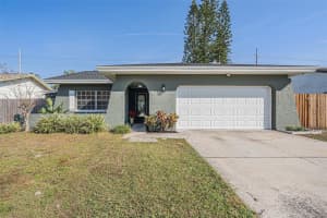 11707 CYPRESS PARK STREET, TAMPA, FL 33624 - MLS#MFRTB8455195