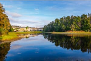 3014 DOWNAN POINT DRIVE, LAND O LAKES, FL 34638 - MLS#MFRTB8455220