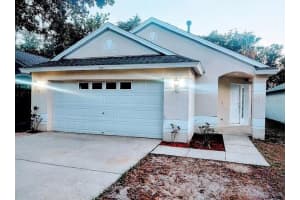 755 Cape Cod Cir, VALRICO 755 Cape Cod Cir, VALRICO