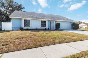 5101 NASHVILLE DRIVE, TAMPA, FL 33624 - MLS#MFRTB8455241