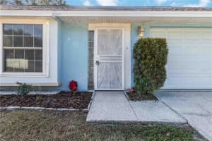 5101 NASHVILLE DRIVE, TAMPA, FL 33624 - MLS#MFRTB8455241