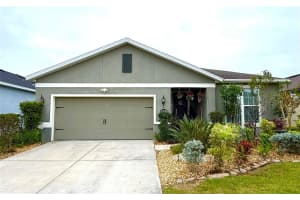 11104 SPRING POINT CIRCLE, RIVERVIEW, FL 33579 - MLS#MFRTB8455244