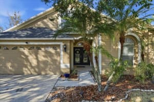 10124 ARBOR RUN DRIVE, TAMPA, FL 33647 - MLS#MFRTB8455275