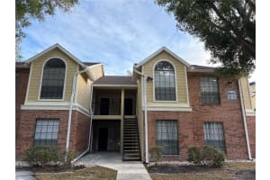8649 Fancy Finch Dr #204, TAMPA
