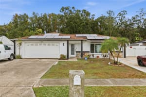 5312 Black Pine Dr, TAMPA 5312 Black Pine Dr, TAMPA