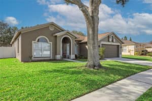 22536 MAGNOLIA TRACE BOULEVARD, LUTZ, FL 33549 - MLS#MFRTB8455297