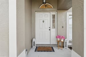 22536 MAGNOLIA TRACE BOULEVARD, LUTZ, FL 33549 - MLS#MFRTB8455297