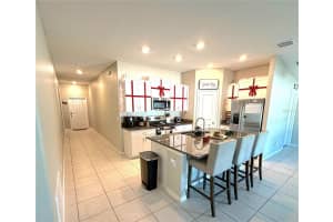 10316 SHADY PRESERVE DRIVE, RIVERVIEW, FL 33578 - MLS#MFRTB8455301