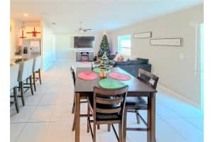 10316 SHADY PRESERVE DRIVE, RIVERVIEW, FL 33578 - MLS#MFRTB8455301