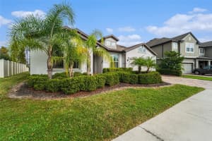 19206 BRIARBROOK DRIVE, TAMPA, FL 33647 - MLS#MFRTB8455309